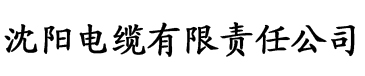 h柯南电缆厂logo